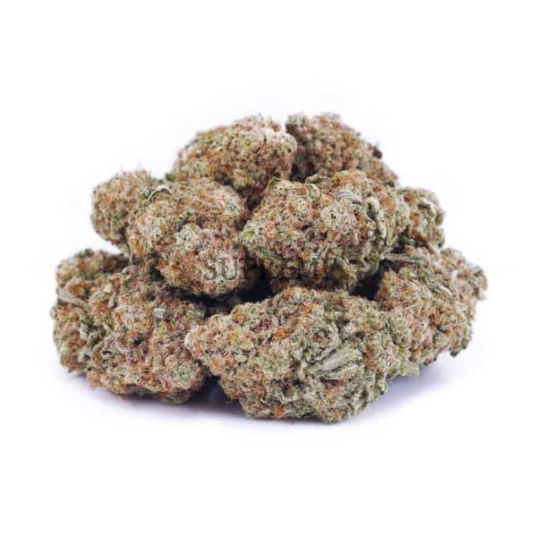 Buy GMO Cookies AAA at Supreme Dispensary