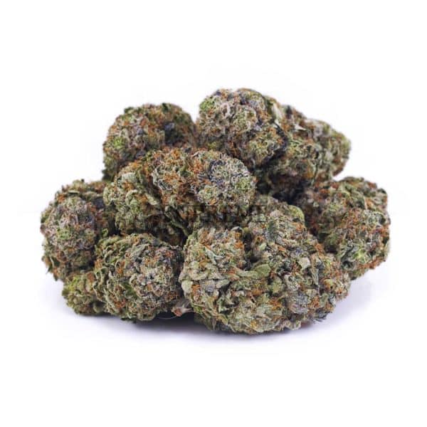 D243A2 ROCKTUNA SUPREME D243A2 ROCKTUNA SUPREME