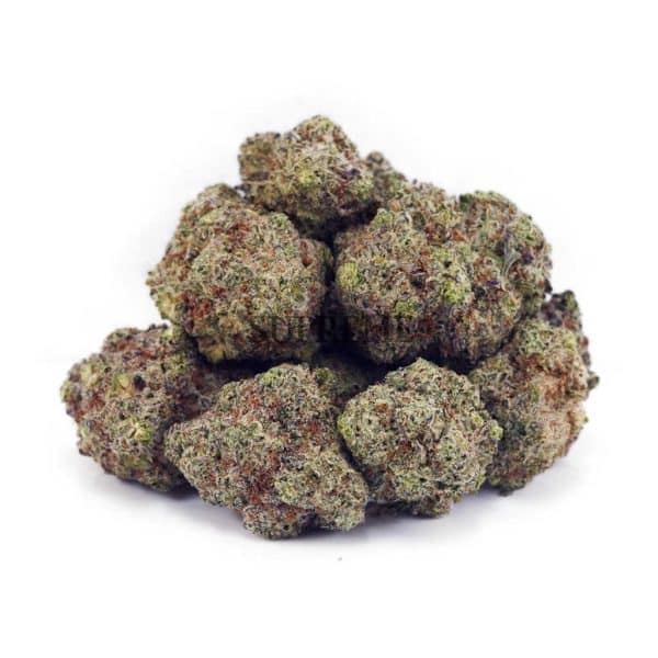 Buy Gorilla Glue #4 AAAA at Supreme Dispensary