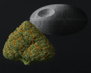 Death Star Strain Effects and Use Cases