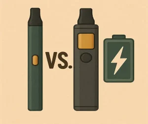 Disposable vs. Rechargeable Which Is Right for You