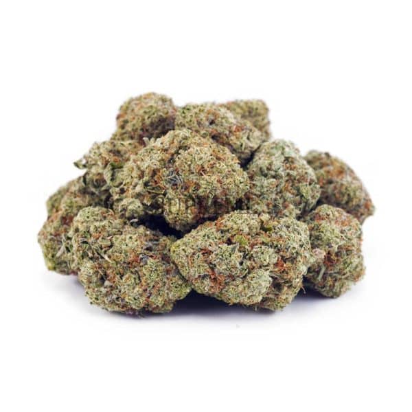 Buy Astro Boy AA at Supreme Dispensary Buy Astro Boy AA at Supreme Dispensary
