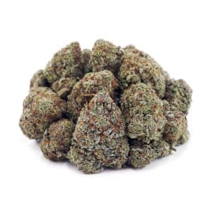 Buy Purple Punch AAAA at Supreme Dispensary