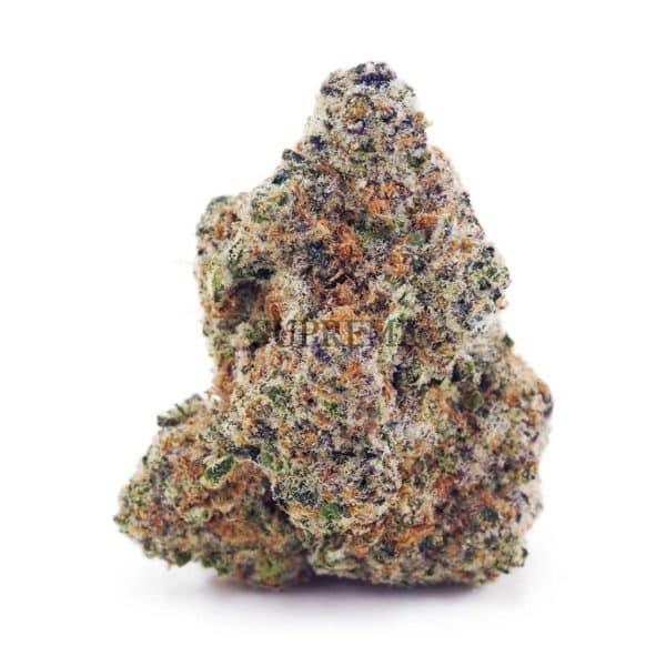 Buy Northern Lights AAA at Supreme Dispensary