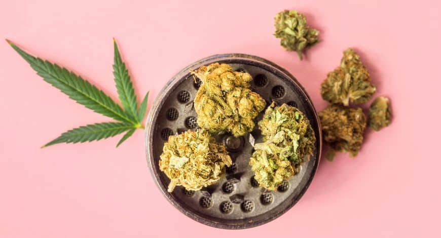 The true budget hunters are aware of this. Here’s where you get a lot of that cheap bud in Canada. 