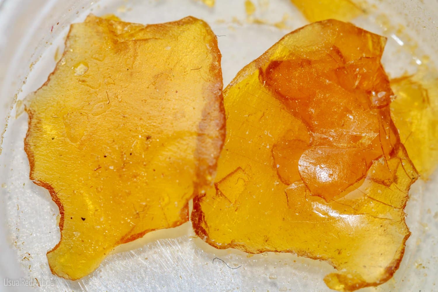 Shatter vs Other Concentrates