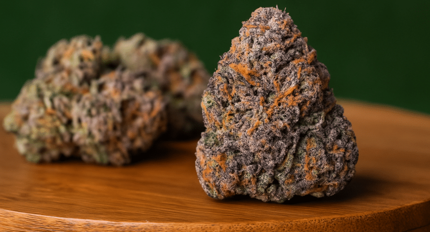 Close-up of Tom Ford Pink Kush strain, illustrating the strain's genetic background