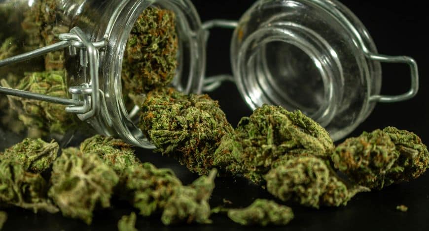 If you are a complete beginner or someone sensitive to the psychoactive effects of THC (and you don't want to feel super high!), consider a low-THC or CBD-only product.