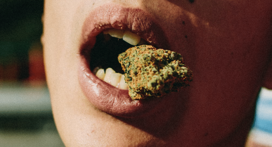 Tom Ford Pink Kush strain buds with flavor elements like vanilla and spice, highlighting its rich and sweet taste profile