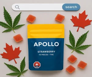 Where to Buy Apollo Edibles Online in Canada