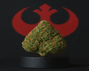 Which Star Wars Weed Wins