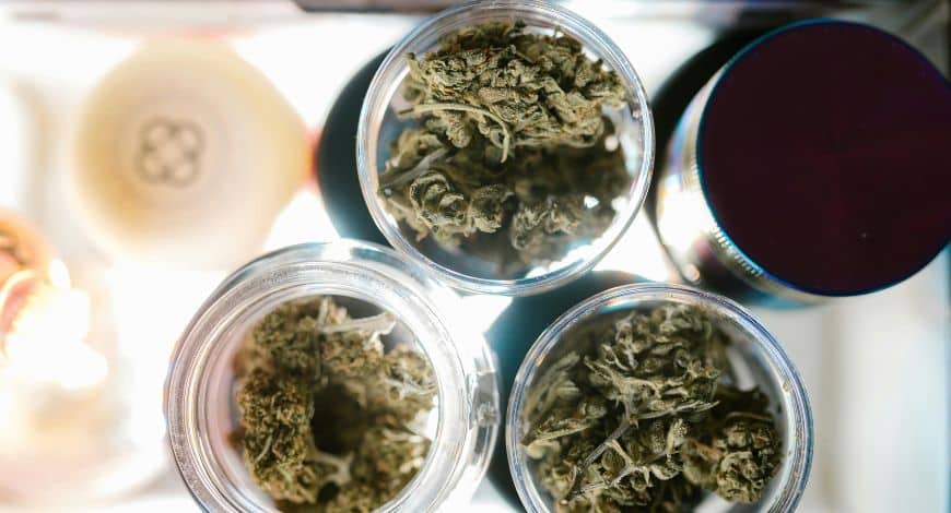 Look for laboratory-tested products, detailed descriptions of cannabinoids and terpenes, and fair prices with plenty of options to save money.