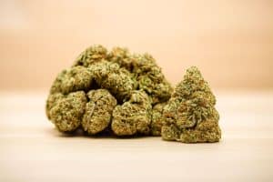 Atomic Northern Lights wholesale