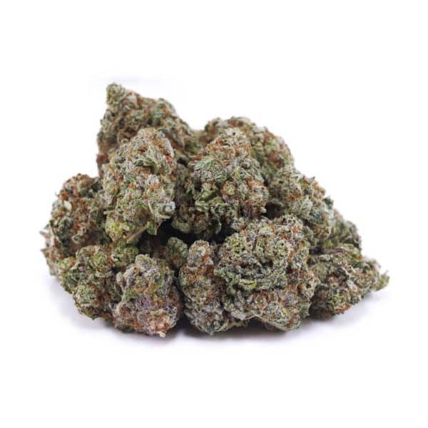 D652A2 BLUEBERRYPIE SUPREME D652A2 BLUEBERRYPIE SUPREME