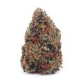 D665A1-GHOSTTRAINHAZE-SUPREME