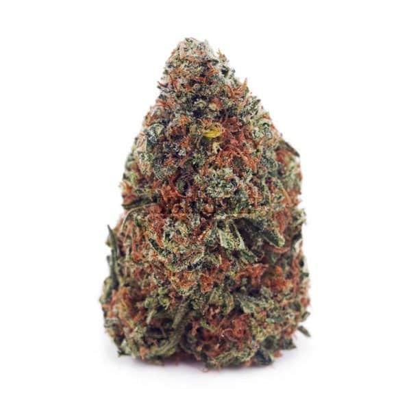 D665A1-GHOSTTRAINHAZE-SUPREME