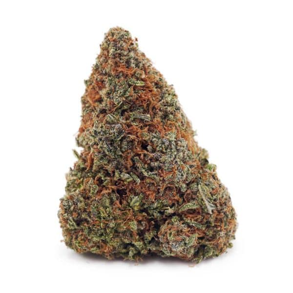 D672A1 BLUEFTINTUNA SUPREME D672A1 BLUEFTINTUNA SUPREME