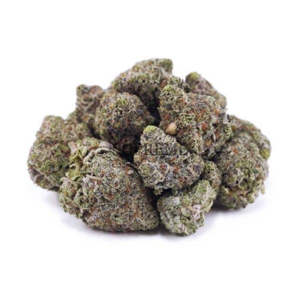 D679A2 PURPLEURKLE SUPREME D679A2 PURPLEURKLE SUPREME