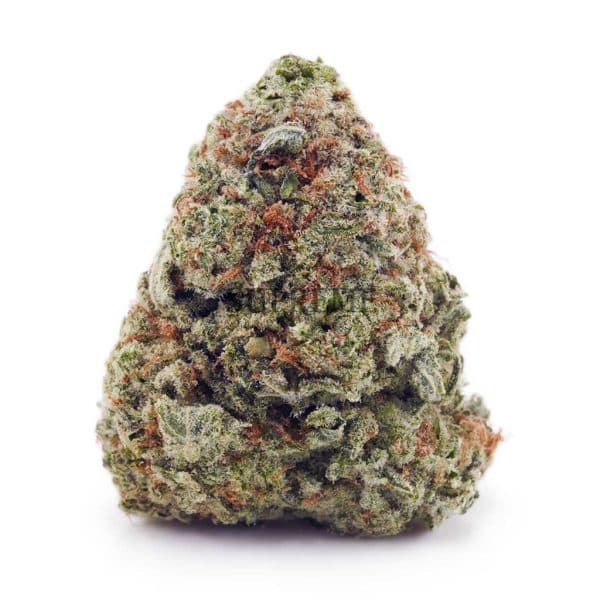 Buy Girl Scout Cookies AAA at Supreme Dispensary