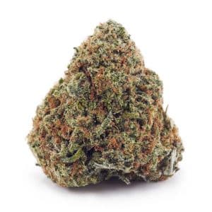 Buy Hawaiian Snow AA at Supreme Dispensary