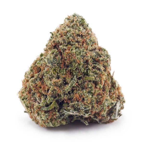 Buy Hawaiian Snow AA at Supreme Dispensary Buy Hawaiian Snow AA at Supreme Dispensary