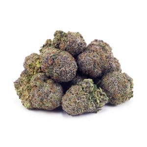 Buy Purple Urkle AAAA at Supreme Dispensary