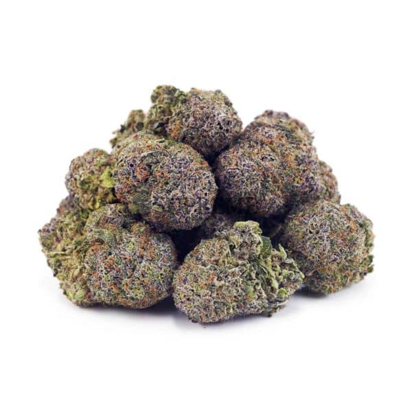 Buy Purple Urkle AAAA at Supreme Dispensary Buy Purple Urkle AAAA at Supreme Dispensary