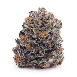 Buy Gusher AA at Supreme Dispensary