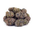 Buy Gusher AA at Supreme Dispensary