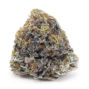 Buy Blueberry Cheesecake AAAA at Supreme Dispensary