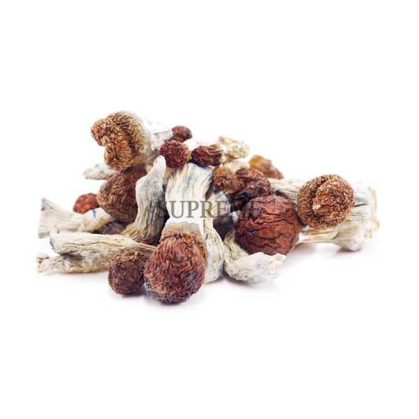 Buy Mushrooms - Avalanche at Supreme Dispensary Buy Mushrooms - Avalanche at Supreme Dispensary