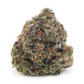 Buy Bacio Gelato (Craft Cannabis) at Supreme Dispensary