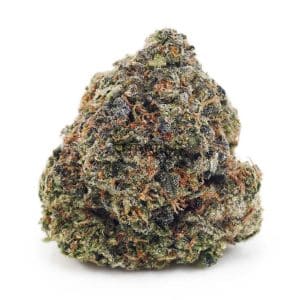 Buy Bacio Gelato (Craft Cannabis) at Supreme Dispensary