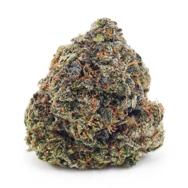 Buy Bacio Gelato (Craft Cannabis) at Supreme Dispensary