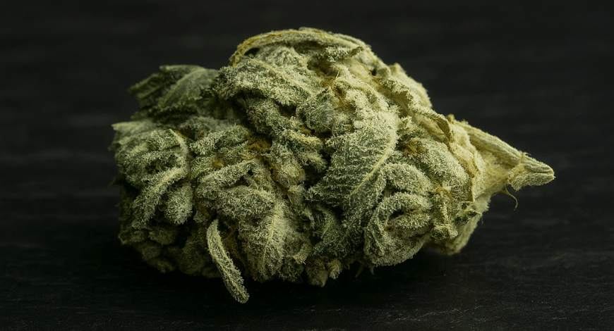 A frosty indica cannabis bud on a dark background, representing a fast fact about Indica strains