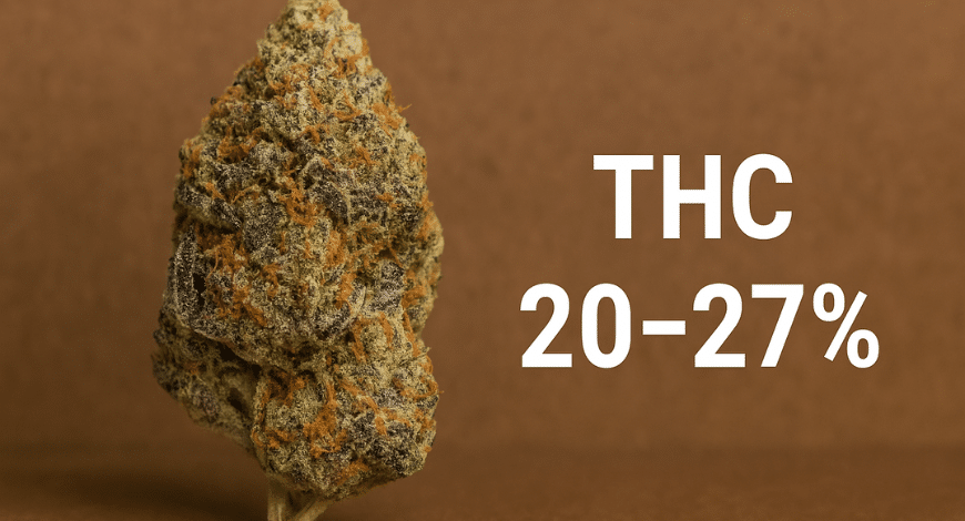 A Gas Mask cannabis bud with text showing THC levels between 20–27%, representing the strain's potency