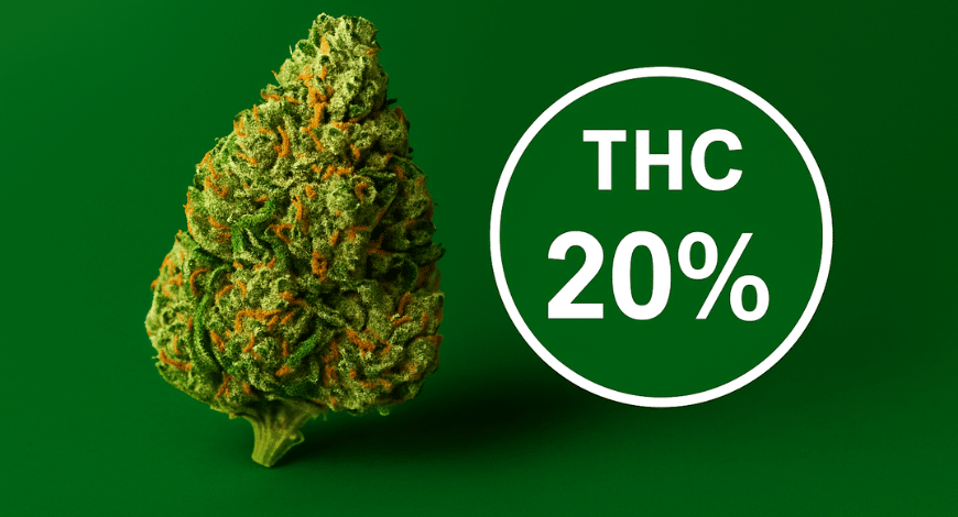 A vibrant Green Crack cannabis bud beside a bold "THC 20%" label on a solid green background, highlighting its potency level