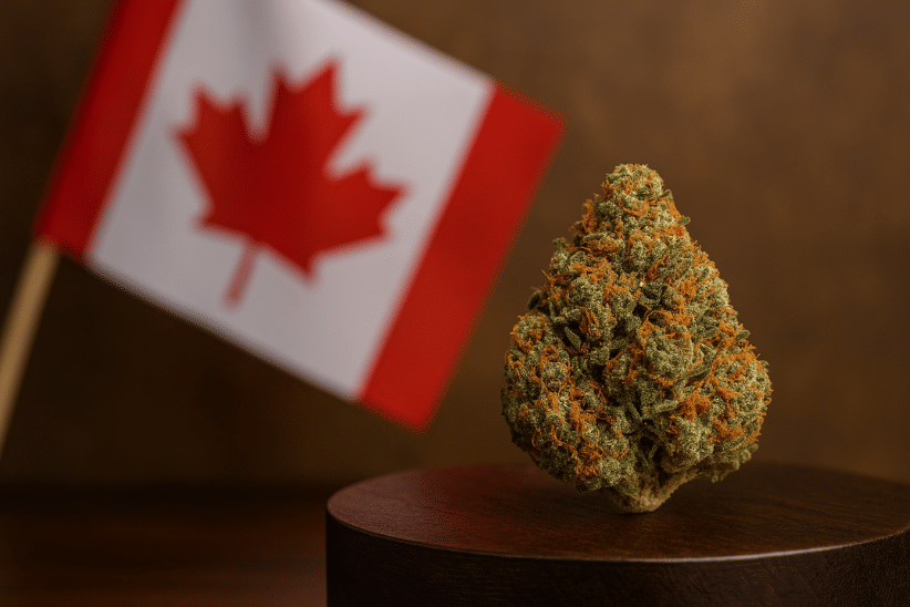 A potent cannabis bud sits on a wooden pedestal with a Canadian flag in the background, highlighting high THC indica strains in Canada