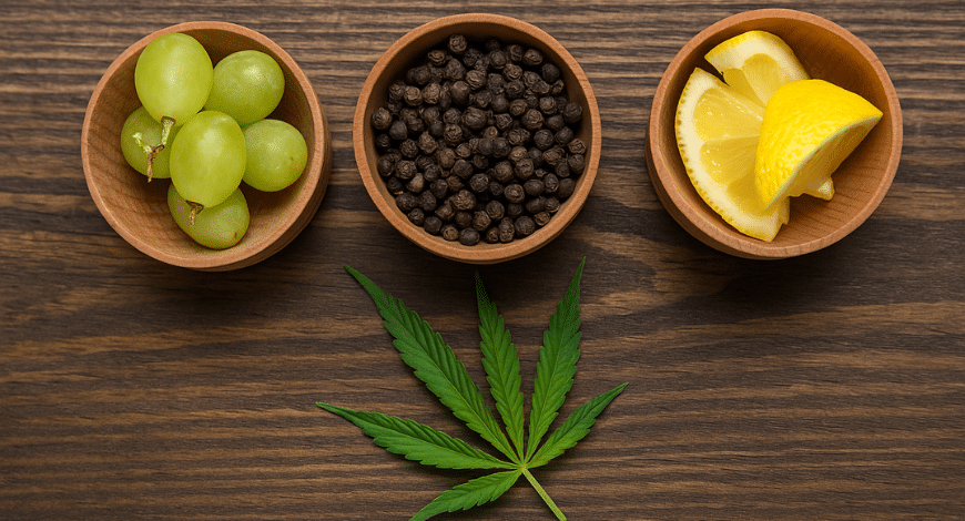 Three wooden bowls with grapes, black pepper, and lemon slices placed above a cannabis leaf, representing different cannabis terpenes