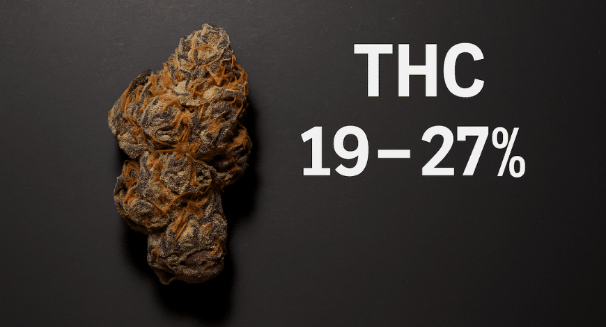 A Mimosa cannabis bud with text showing THC levels of 19–27%, highlighting the strain’s potency