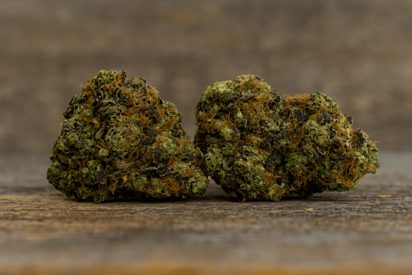 Two dense, dark green Gas Mask cannabis buds with orange hairs on a rustic wooden surface, emphasizing the strain’s powerful effects