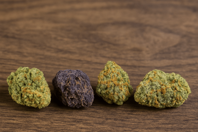 These 12 Quality Hybrid Weed Strains Prove Balance Is the New High