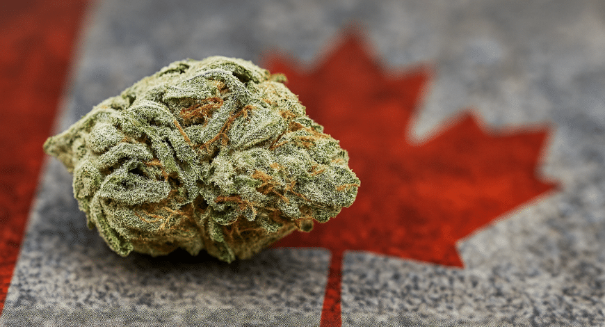 A Blue Cheese cannabis bud placed over a faded Canadian flag, representing where to get the Blue Cheese strain in Canada