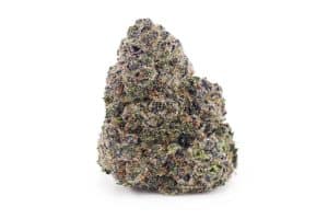 blueberry cheesecake nugg