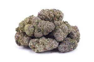 blueberry cheesecake wholesale