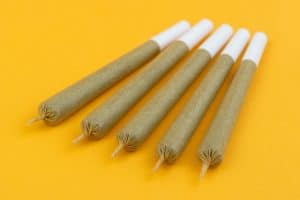cannabis pre rolls