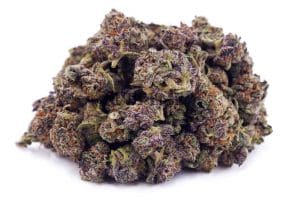 cookie monster strain