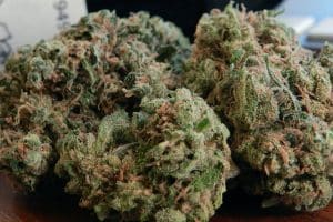 durban poison