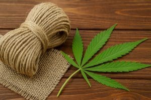 hemp fiber