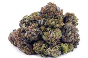 pink bubba